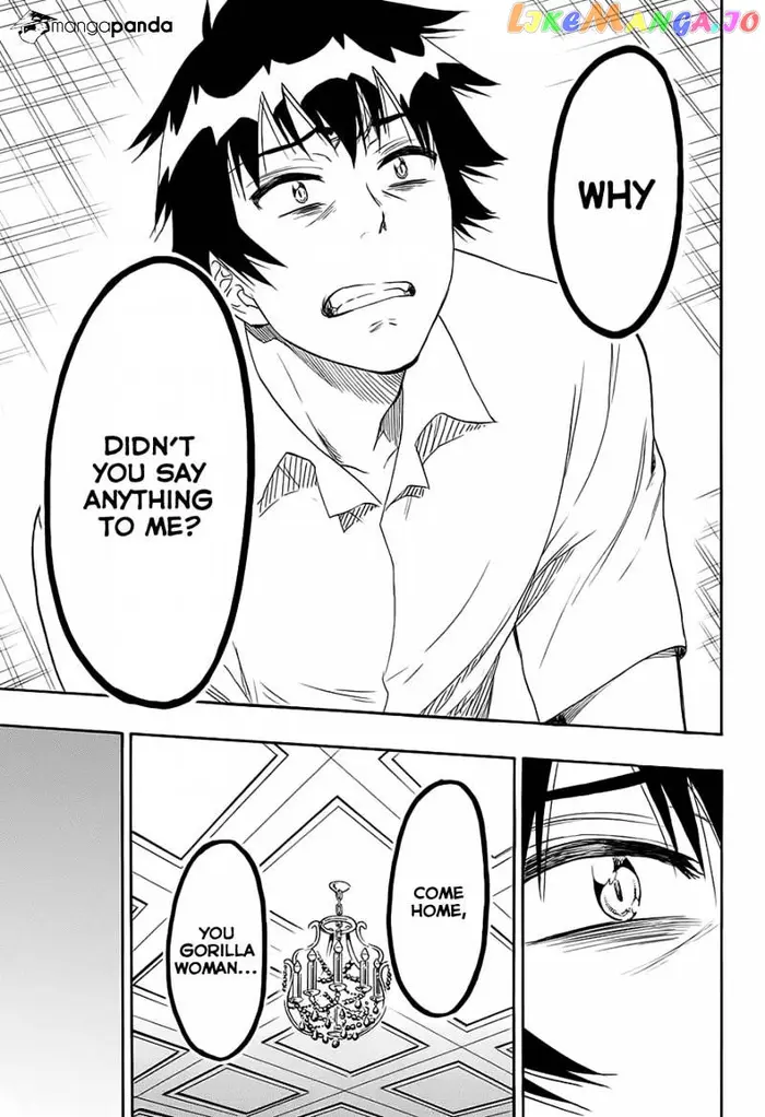 Nisekoi Chapter 213 image 17_optimized